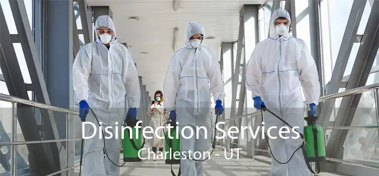 Disinfection Services Charleston - UT