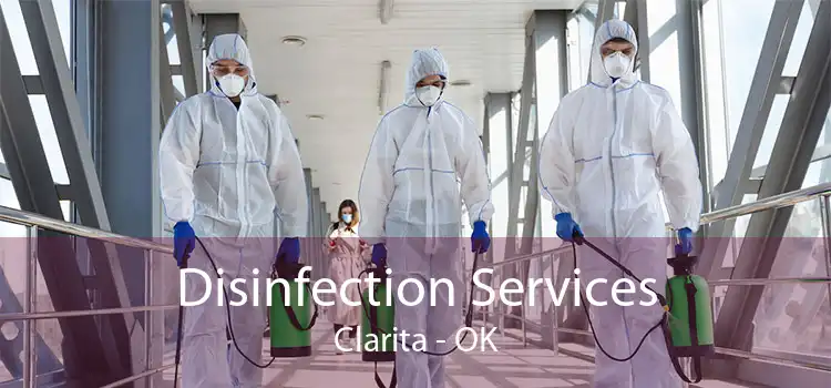 Disinfection Services Clarita - OK