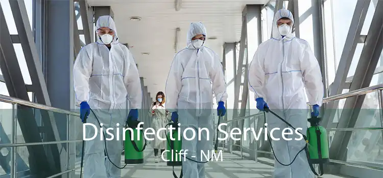Disinfection Services Cliff - NM