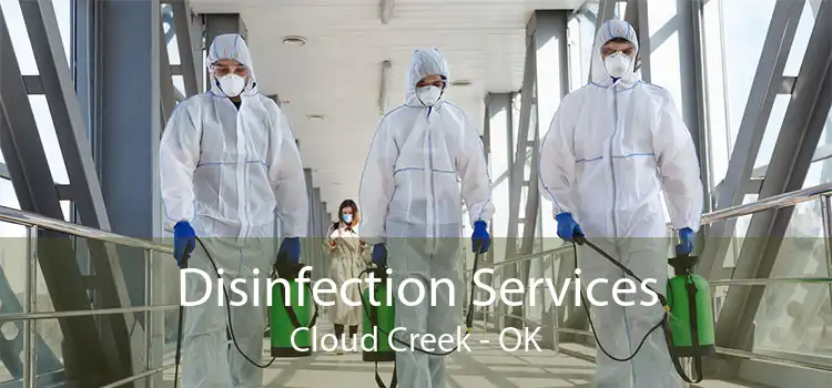 Disinfection Services Cloud Creek - OK