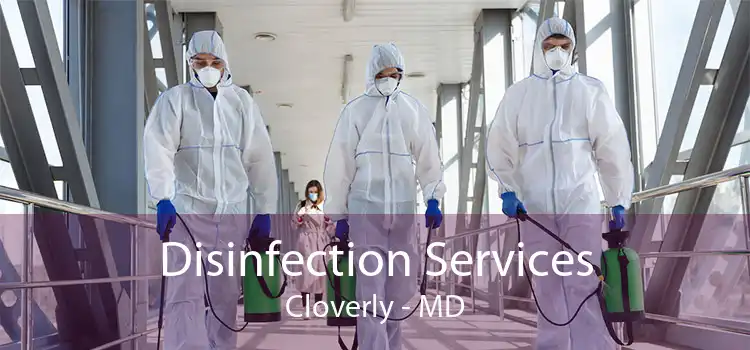 Disinfection Services Cloverly - MD