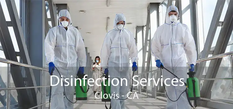 Disinfection Services Clovis - CA