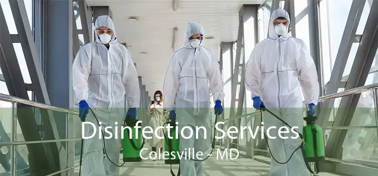 Disinfection Services Colesville - MD