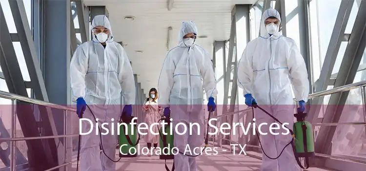 Disinfection Services Colorado Acres - TX