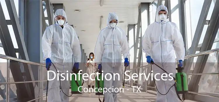 Disinfection Services Concepcion - TX