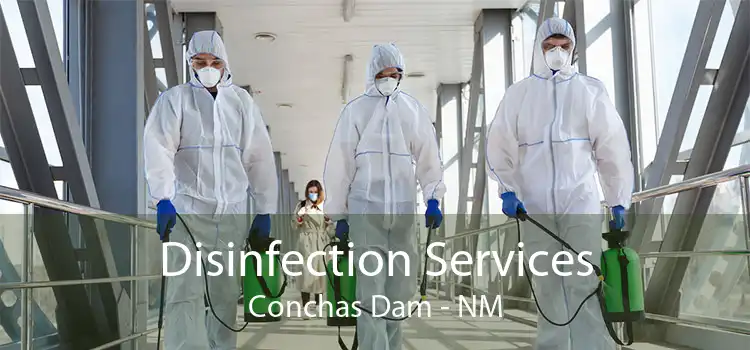 Disinfection Services Conchas Dam - NM