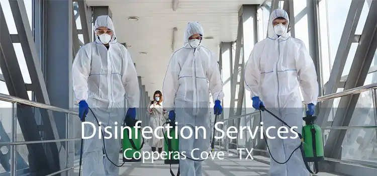 Disinfection Services Copperas Cove - TX