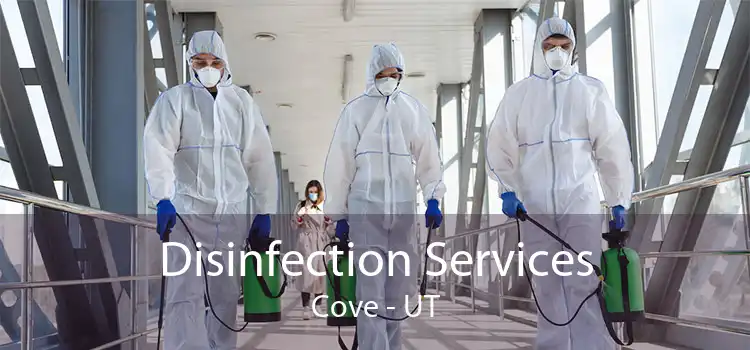 Disinfection Services Cove - UT