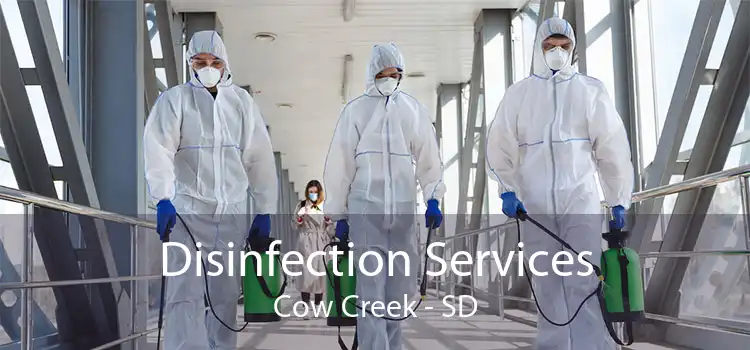 Disinfection Services Cow Creek - SD