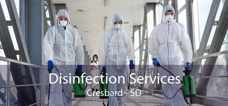 Disinfection Services Cresbard - SD