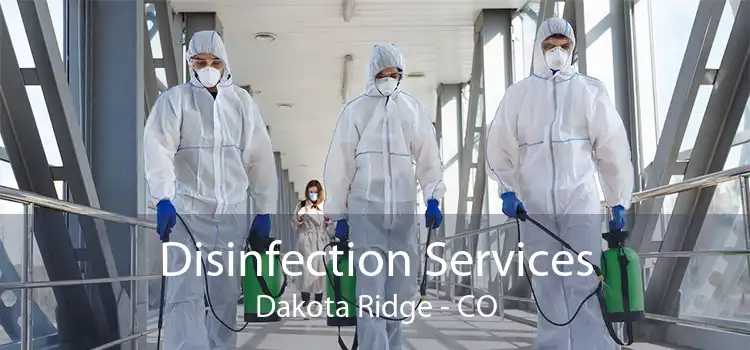 Disinfection Services Dakota Ridge - CO