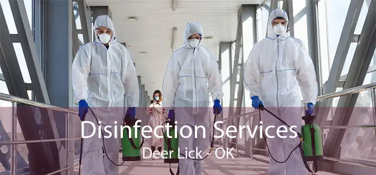 Disinfection Services Deer Lick - OK