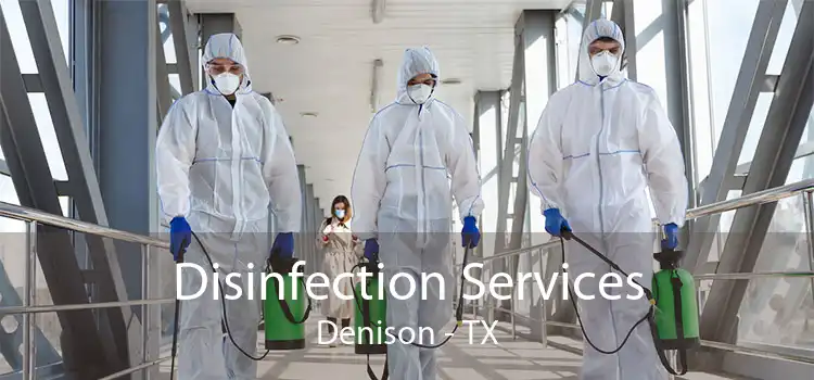 Disinfection Services Denison - TX