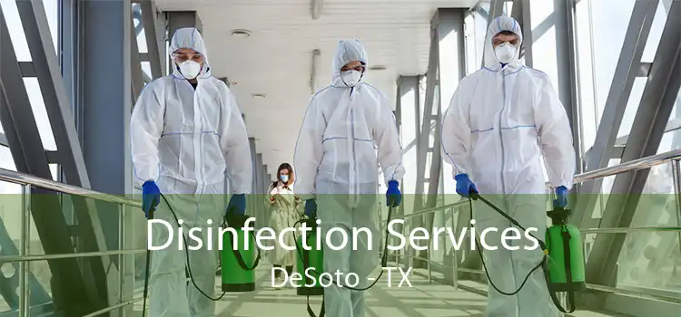 Disinfection Services DeSoto - TX