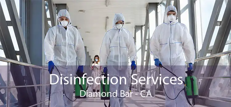 Disinfection Services Diamond Bar - CA