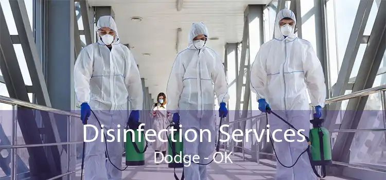 Disinfection Services Dodge - OK