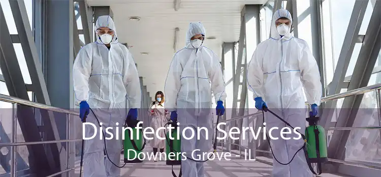 Disinfection Services Downers Grove - IL