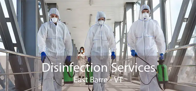 Disinfection Services East Barre - VT