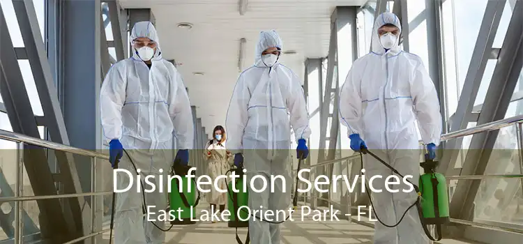 Disinfection Services East Lake Orient Park - FL