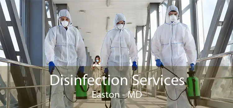 Disinfection Services Easton - MD