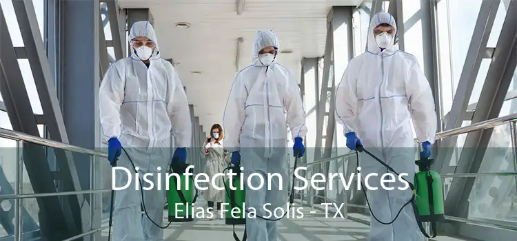 Disinfection Services Elias Fela Solis - TX