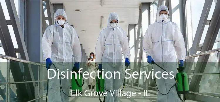 Disinfection Services Elk Grove Village - IL