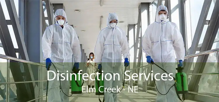 Disinfection Services Elm Creek - NE