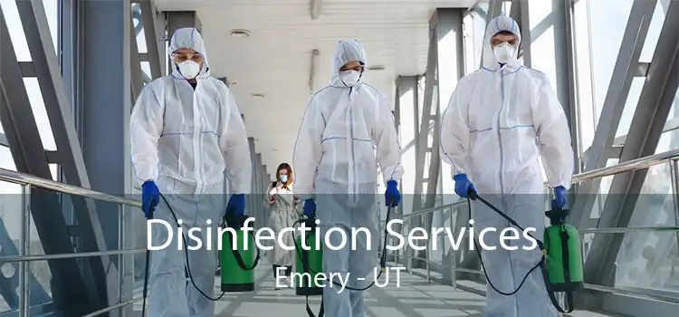 Disinfection Services Emery - UT