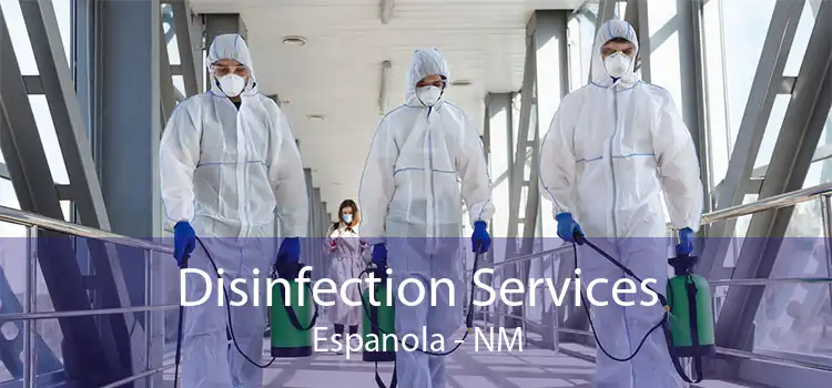 Disinfection Services Espanola - NM