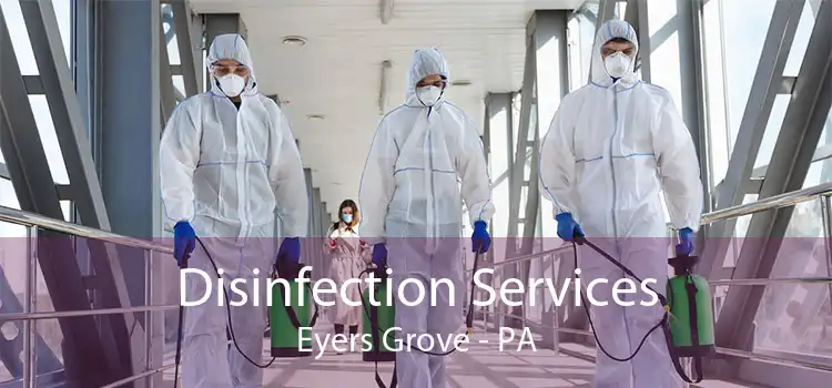 Disinfection Services Eyers Grove - PA