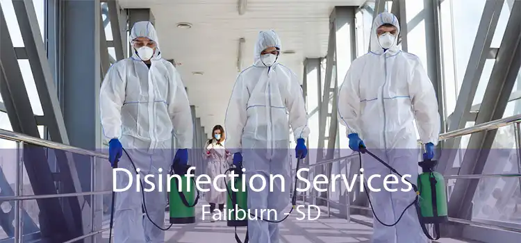 Disinfection Services Fairburn - SD