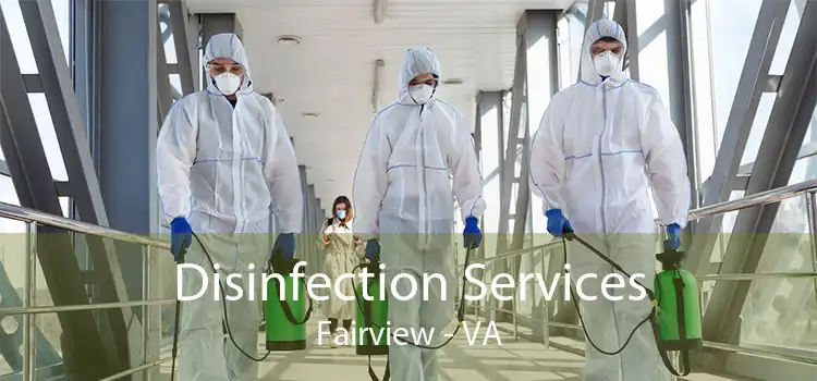 Disinfection Services Fairview - VA