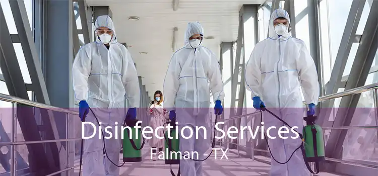 Disinfection Services Falman - TX