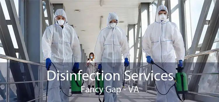 Disinfection Services Fancy Gap - VA