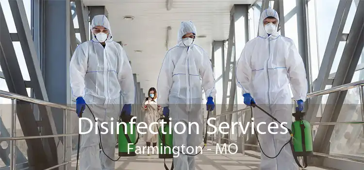 Disinfection Services Farmington - MO