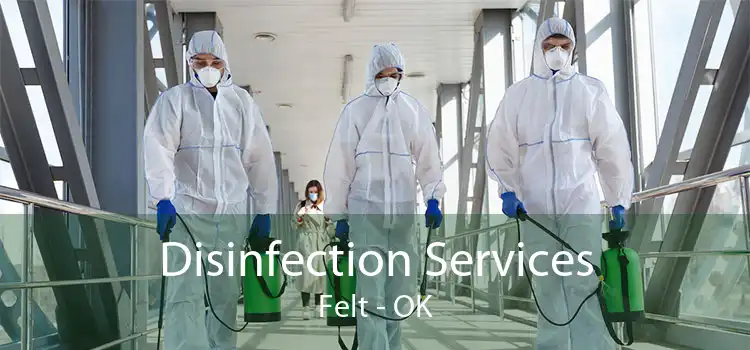 Disinfection Services Felt - OK