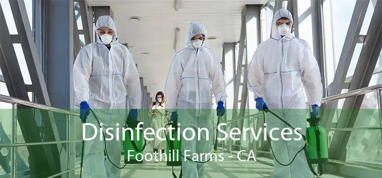 Disinfection Services Foothill Farms - CA