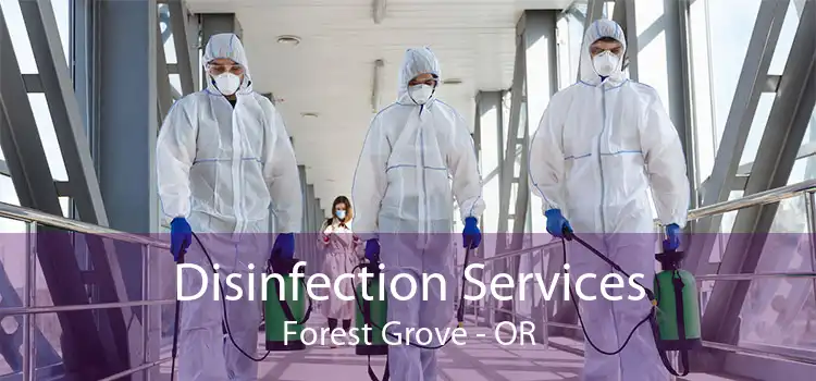 Disinfection Services Forest Grove - OR