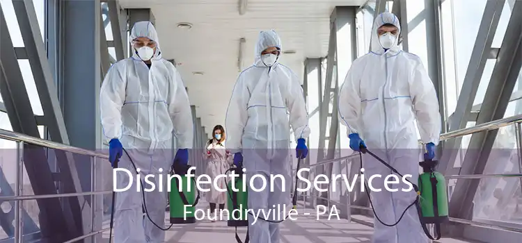 Disinfection Services Foundryville - PA