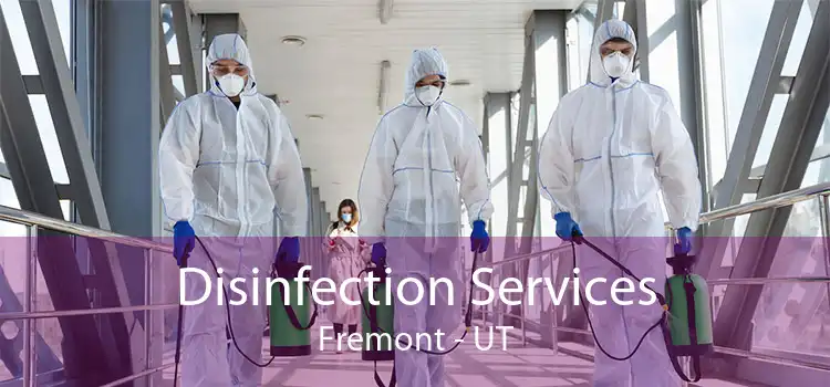 Disinfection Services Fremont - UT