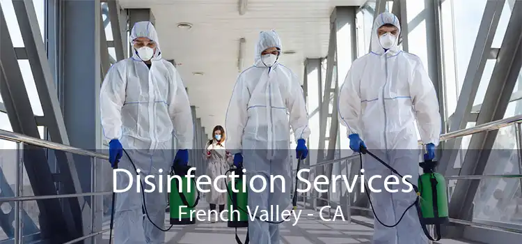 Disinfection Services French Valley - CA