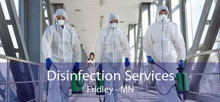 Disinfection Services Fridley - MN