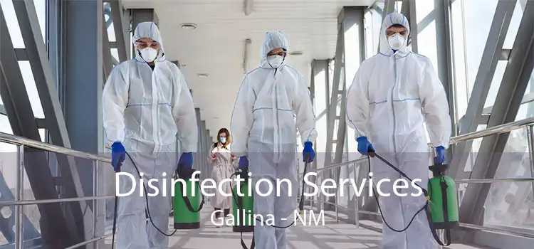 Disinfection Services Gallina - NM