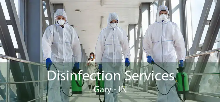 Disinfection Services Gary - IN