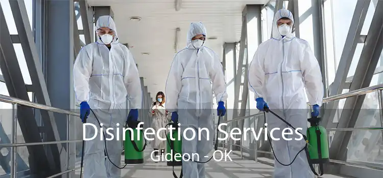 Disinfection Services Gideon - OK