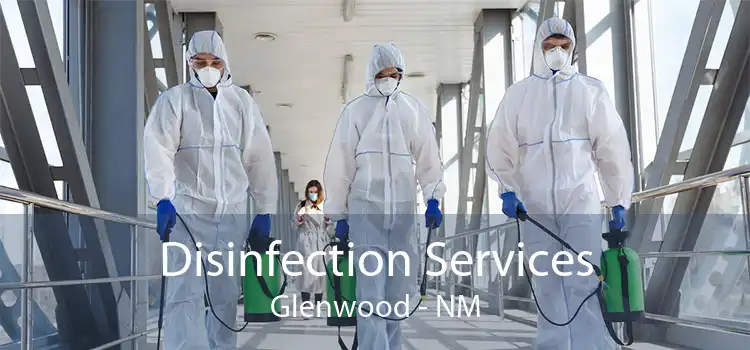 Disinfection Services Glenwood - NM