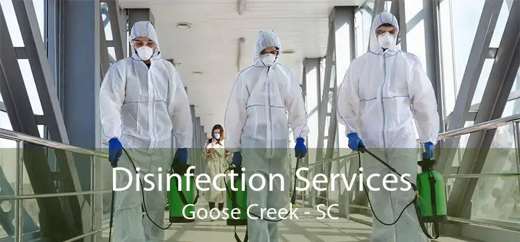Disinfection Services Goose Creek - SC
