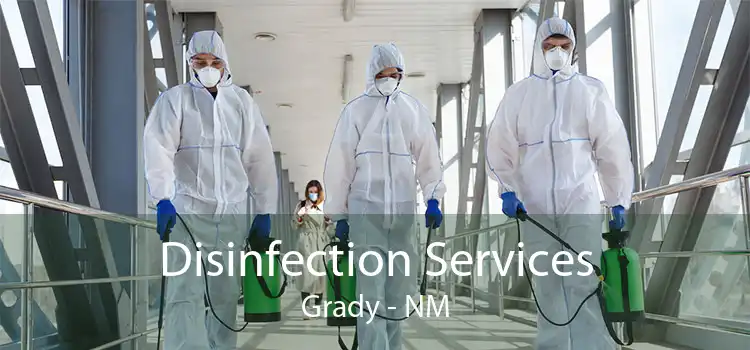 Disinfection Services Grady - NM