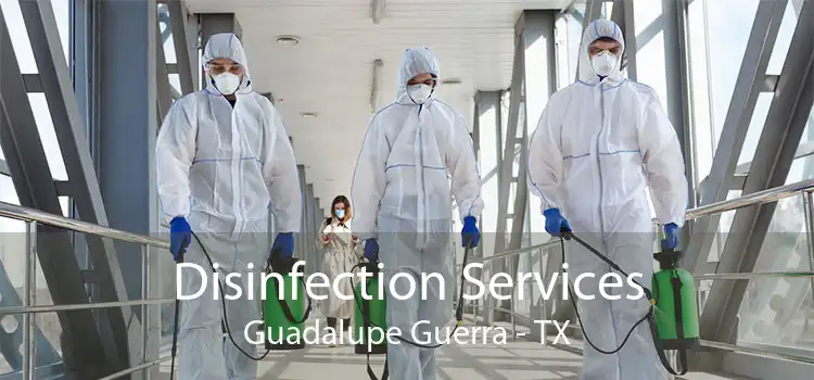 Disinfection Services Guadalupe Guerra - TX