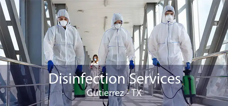 Disinfection Services Gutierrez - TX